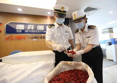 中非經(jīng)貿(mào)博覽會 合作成果豐碩，攜手共譜發(fā)展新篇